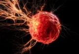 Hijacking the Body’s Defenses: New Research Reveals How Triple-Negative Breast Cancer Recruits Nerves to Survive
