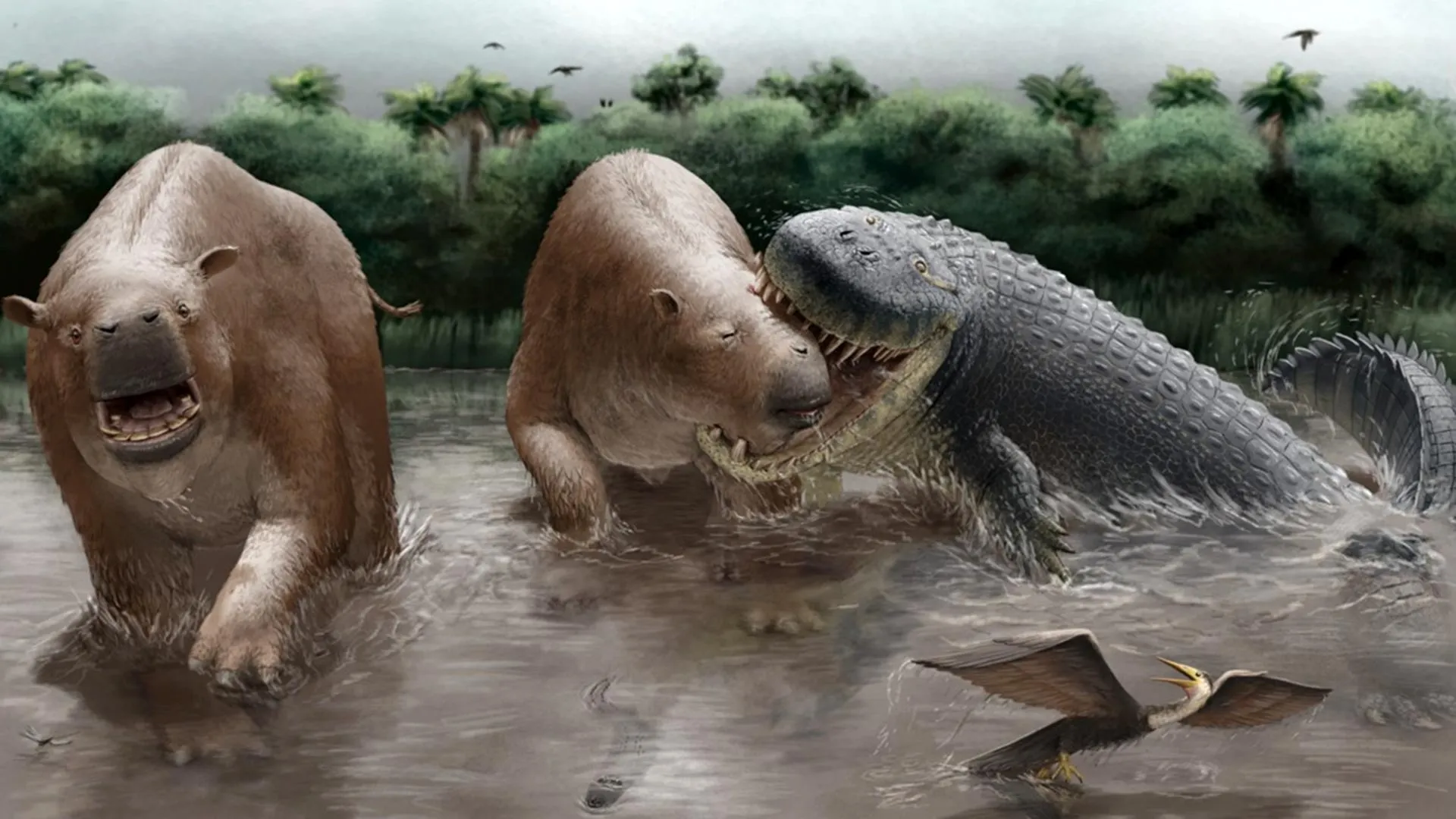 Lords of the Miocene: How Ancient Crocodylians Ruled a Lost South American World