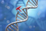 Precision Engineering at the Nano-Scale: Breakthrough in DNA Assembly Using Silver Nanoparticles