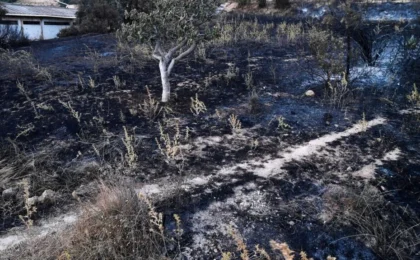 Scorched Earth: Algeria Faces Humanitarian Crisis as Heatwave-Driven Wildfires Claim Twelve Lives