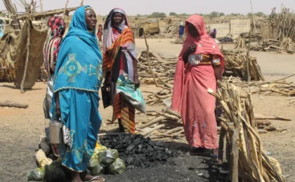 Sudan’s Humanitarian Abyss: UN Issues Urgent Plea as Conflict Intensifies in Blue Nile and North Kordofan