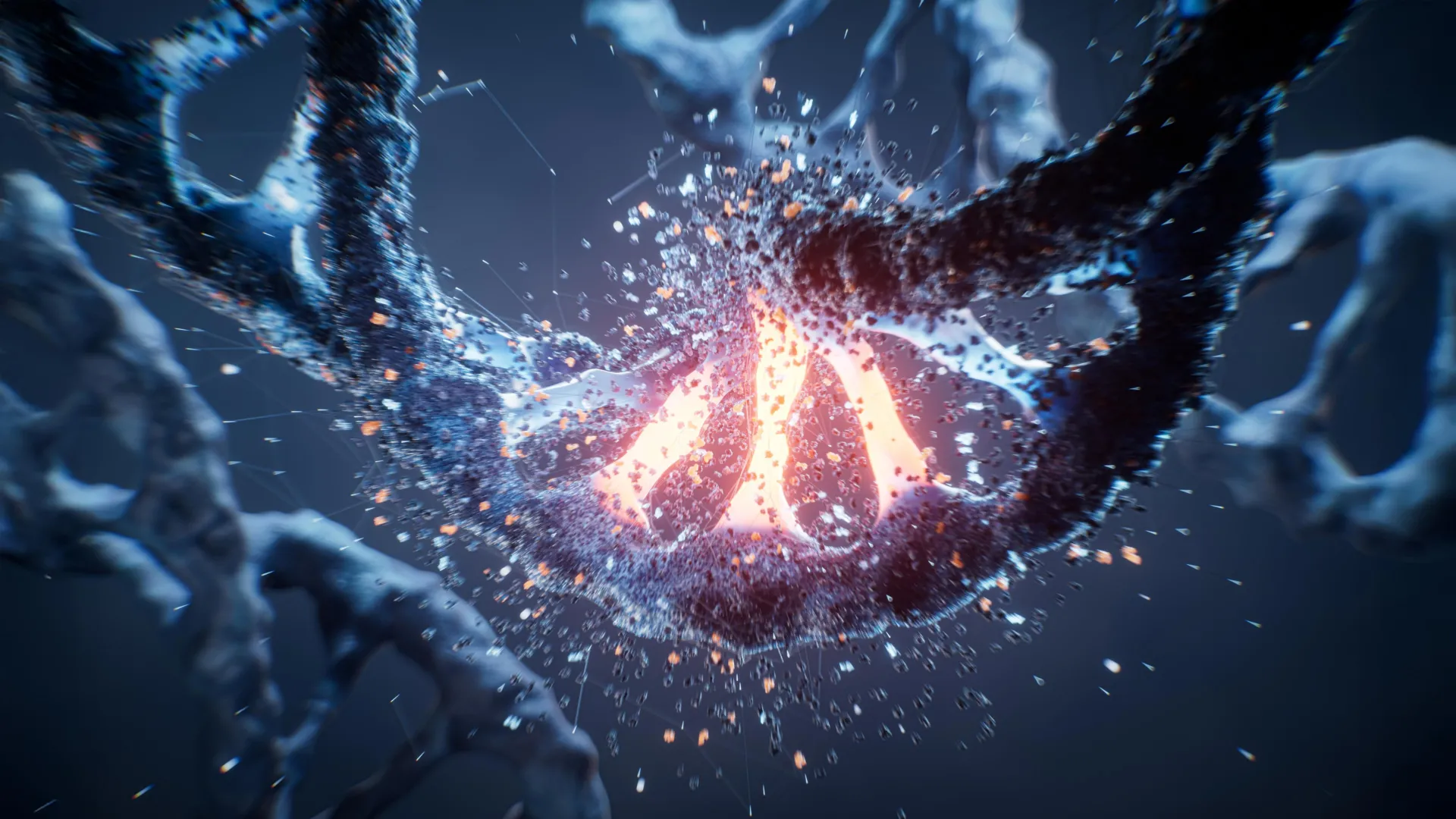 The Architectural Blueprint of Life: How DNA Misfolding Drives Congenital Heart Disease