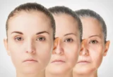 The Architecture of Aging: How Calorie Restriction Unlocks the Secrets of Immune Longevity