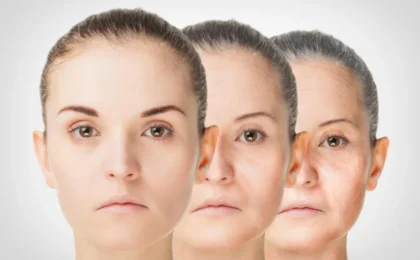 The Architecture of Aging: How Calorie Restriction Unlocks the Secrets of Immune Longevity