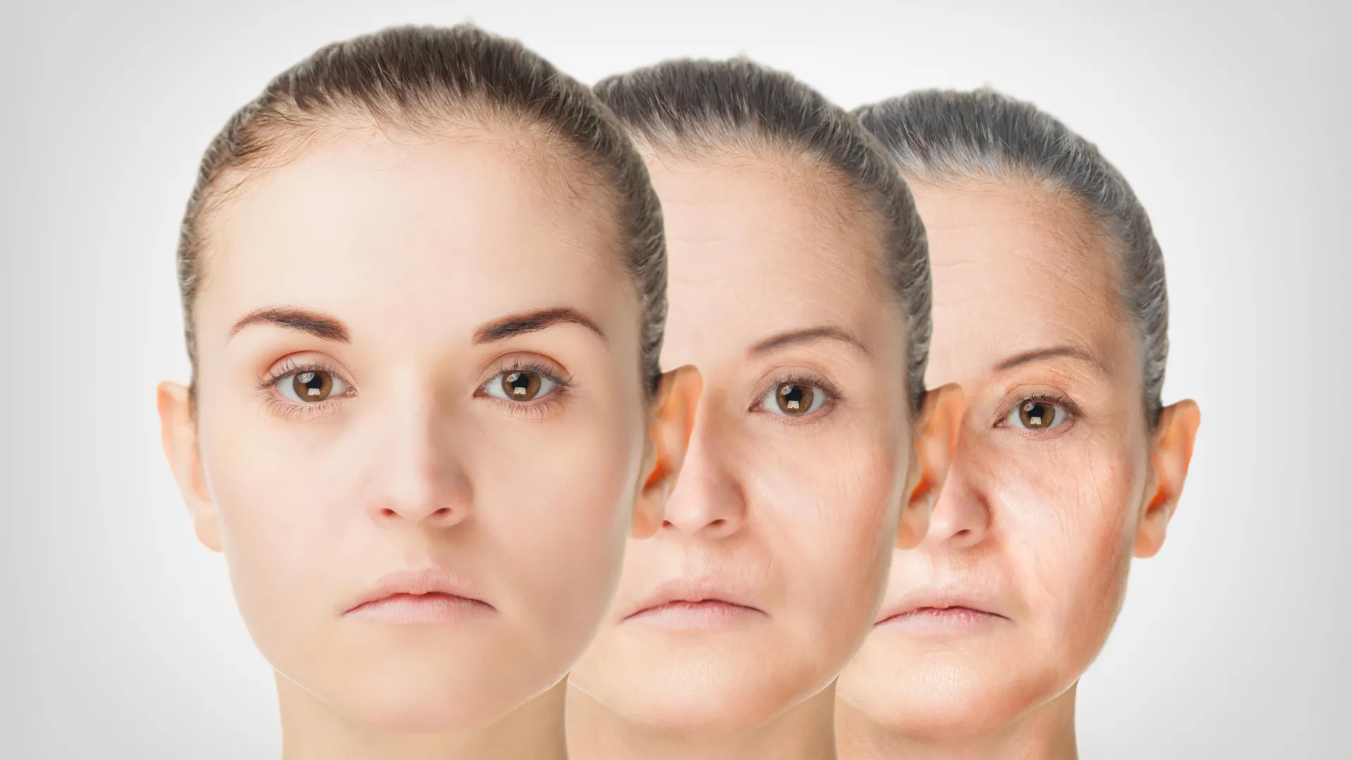 The Architecture of Aging: How Calorie Restriction Unlocks the Secrets of Immune Longevity
