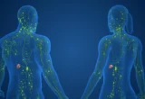 The Biological Divide: Unlocking the Genetic Secrets Behind Autoimmune Disparity