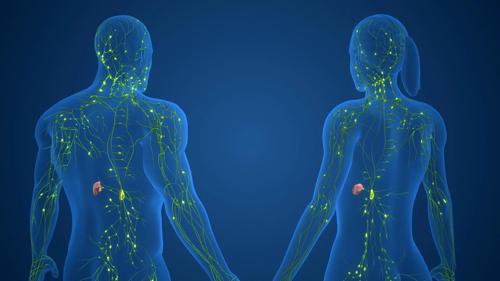 The Biological Divide: Unlocking the Genetic Secrets Behind Autoimmune Disparity