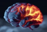 The Brain’s Hidden Brake: Unlocking New Pathways for Chronic Pain Relief