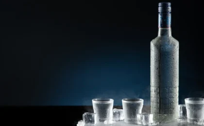 The Connoisseur’s Gateway: A Comprehensive Guide to the 9 Best Vodkas for Beginners
