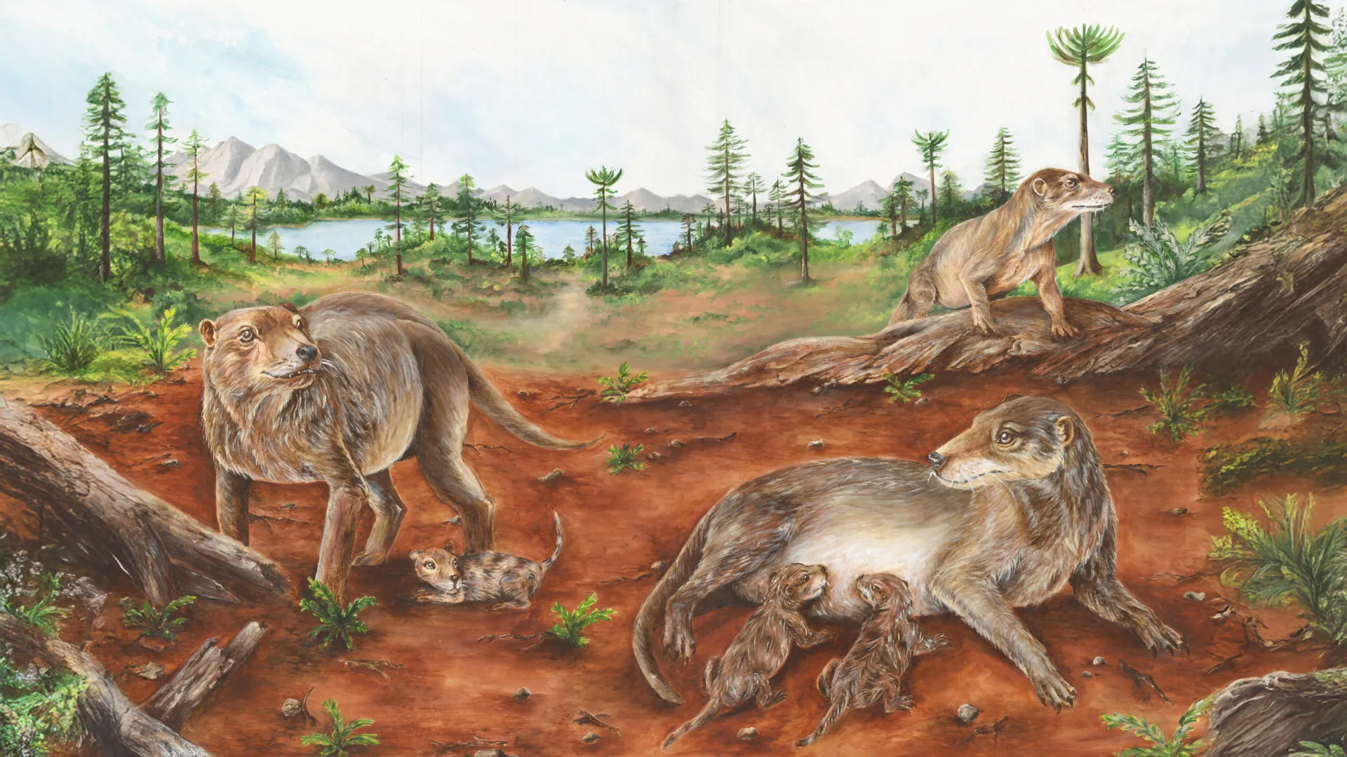 The Dawn of Live Birth: Rethinking the Evolutionary Timeline of Mammalian Reproduction