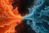 The Evolutionary Highway: New Map Reveals the Deep Architecture of Life