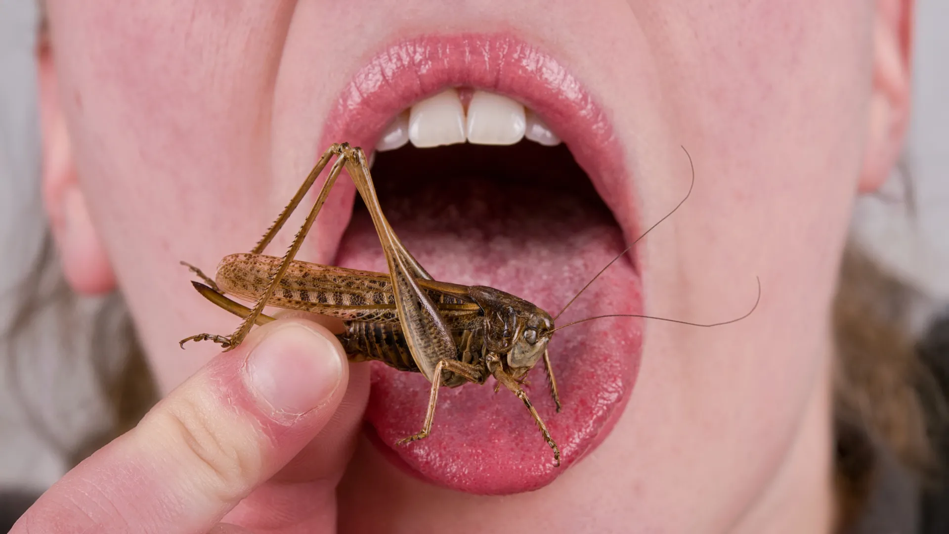 The Evolutionary Roots of Entomophagy: Why the West Swallowed Its Pride (And Why It May Again)