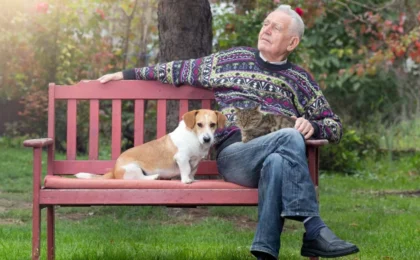The Furry Retirement Factor: How Pets Influence Your Post-Work Wellbeing