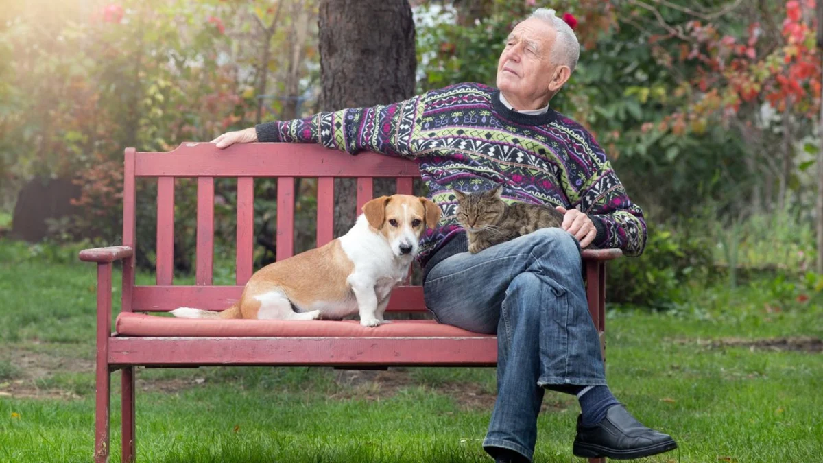 The Furry Retirement Factor: How Pets Influence Your Post-Work Wellbeing