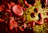 The Genetic Lottery of Nutrition: Why Low-Carb Diets Impact Cholesterol Differently