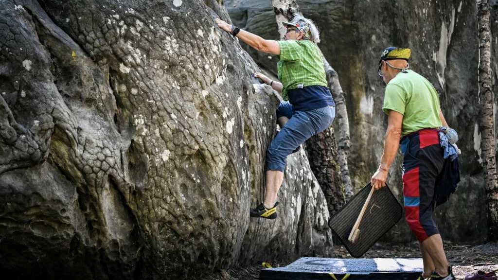 The Green Lung Breathes Again: Fontainebleau Reopens After Devastating Wildfires
