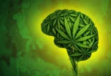 The Hidden Danger: New Cambridge Study Links Recreational Drug Use to Escalating Stroke Risk
