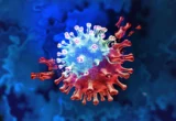 The Hidden Echoes of Infection: How COVID-19 Triggers Dormant Viruses