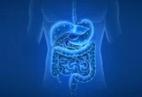 The Invisible Legacy: How Past Medications Leave a Permanent Mark on the Human Gut Microbiome