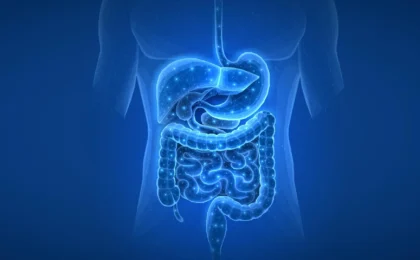 The Invisible Legacy: How Past Medications Leave a Permanent Mark on the Human Gut Microbiome