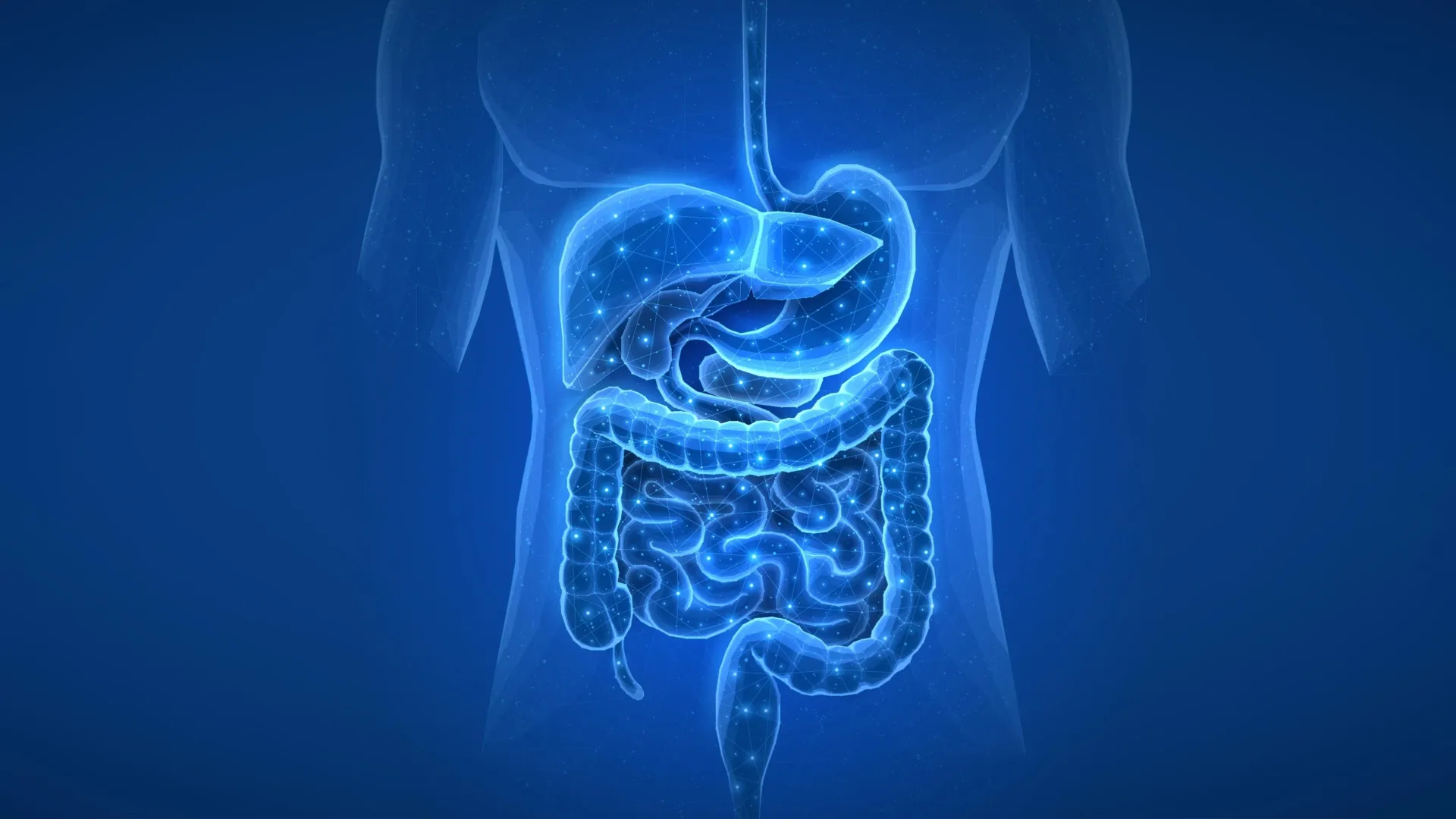 The Invisible Legacy: How Past Medications Leave a Permanent Mark on the Human Gut Microbiome