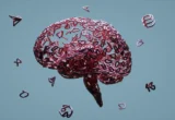 The Lizard Brain: Why Your Evolutionary Biology is Sabotaging Your Investment Portfolio