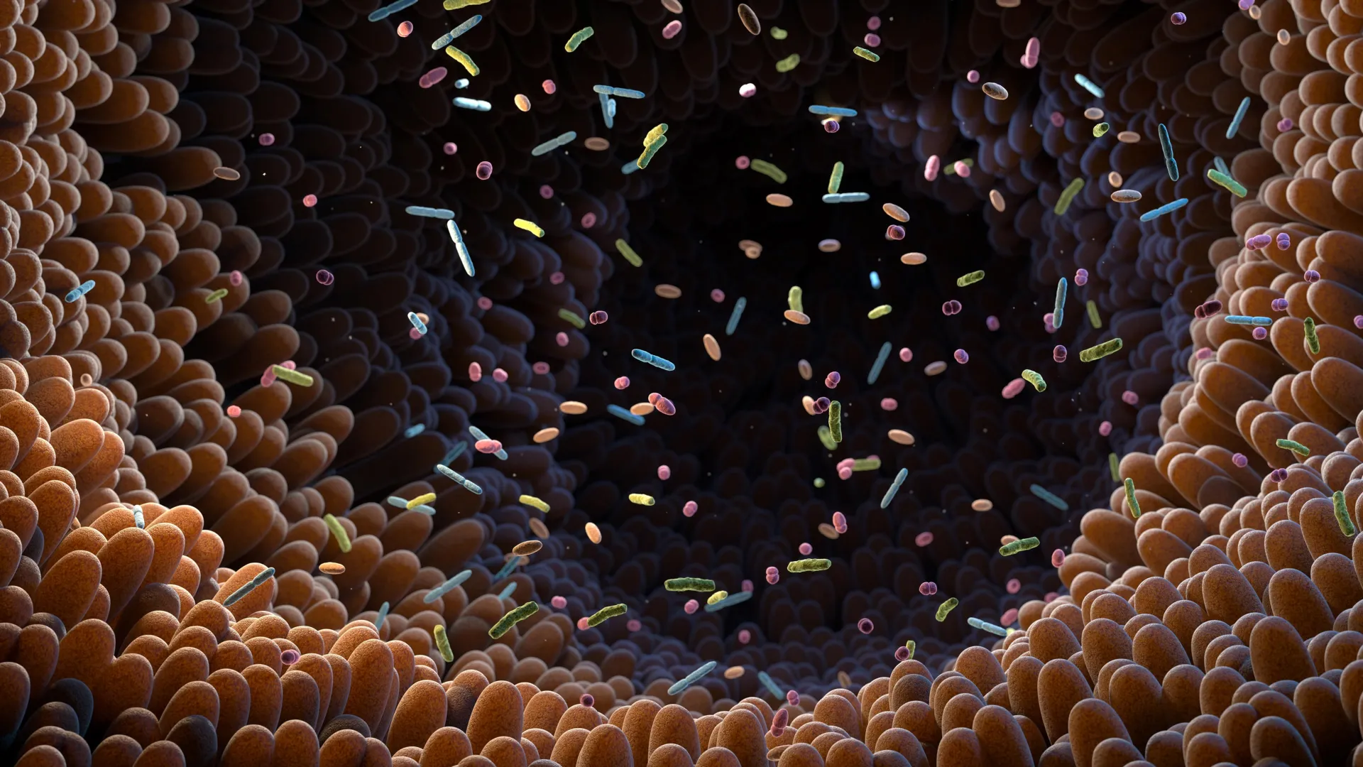 The Microbial Alchemists: How Your Gut Turns Greens into Medicine