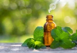 The Mint Revolution: Could Peppermint Oil Be the New Frontier in Blood Pressure Management?