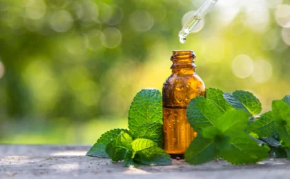 The Mint Revolution: Could Peppermint Oil Be the New Frontier in Blood Pressure Management?