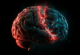 The Molecular Scar: New Research Uncovers How Childhood Trauma Rewires the Brain