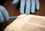 The Silent Archives: How Geneticists Are Unlocking 1,300 Years of History Without Turning a Page
