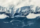 The Tectonic Trigger: How Earth’s Interior Preconditioned Antarctica for the Great Freeze