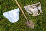 The Underground Frontier: How Citizen Science and Cotton Underwear Are Mapping Soil Health