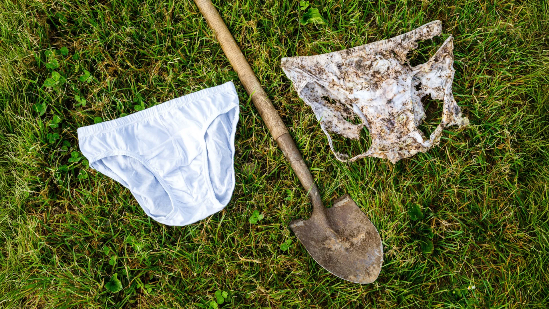 The Underground Frontier: How Citizen Science and Cotton Underwear Are Mapping Soil Health