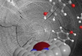 Unlocking Nature’s Hidden Reservoir: Breakthrough Catalyst Turns Lignin Waste into Sustainable Chemical Gold