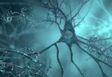 Unlocking the Alzheimer’s Code: How a Single Protein Could Reverse Genetic Risk