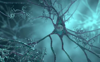 Unlocking the Alzheimer’s Code: How a Single Protein Could Reverse Genetic Risk
