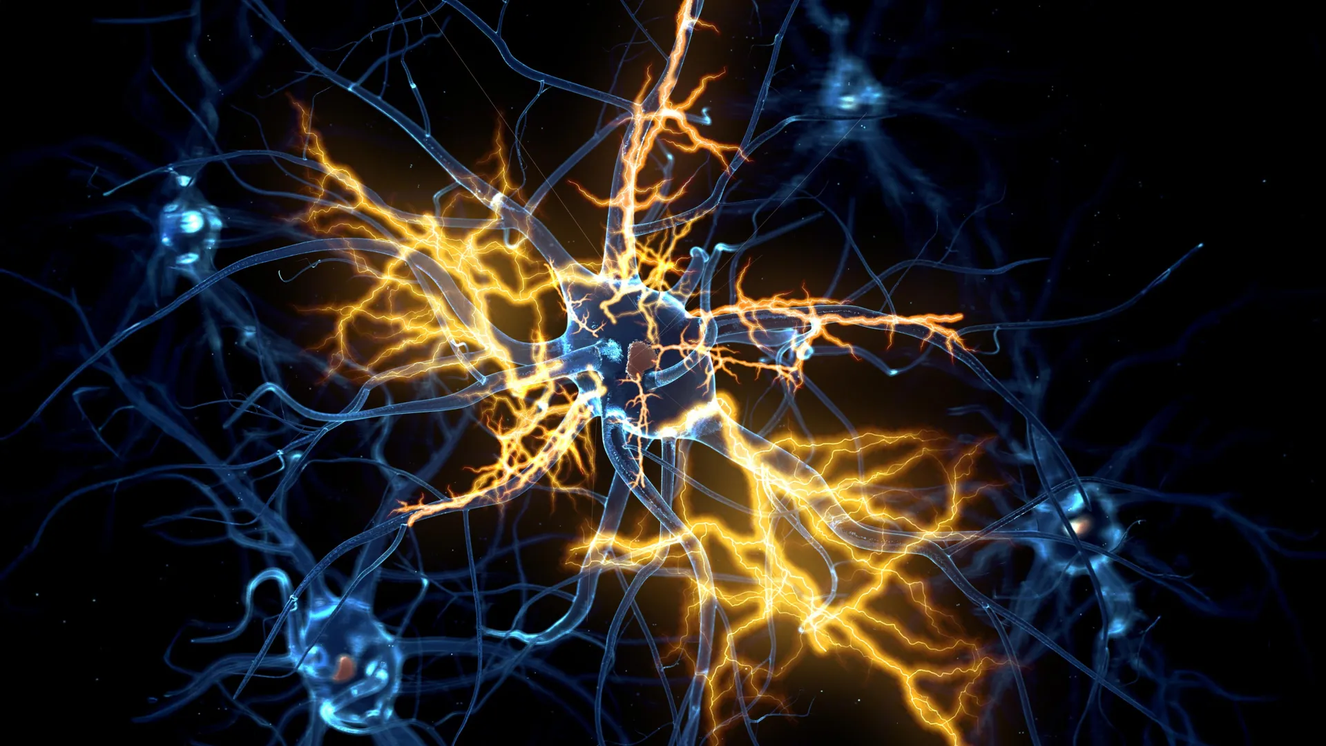 Unlocking the Regenerative Potential of the Nervous System: The AHR Breakthrough