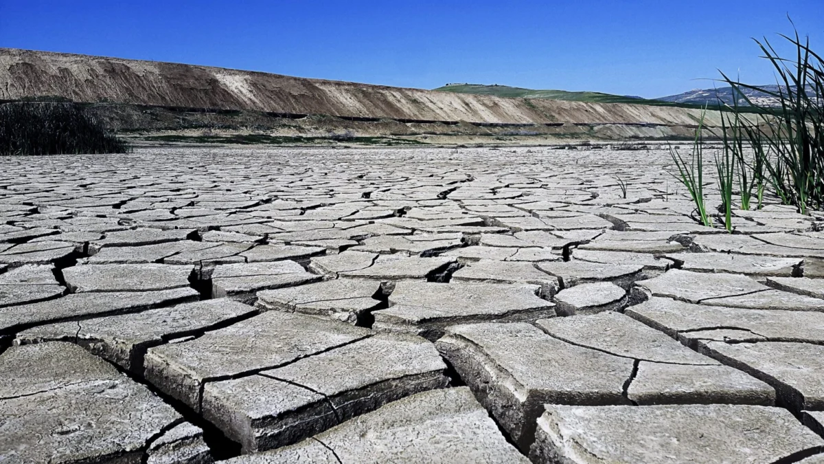 A Silent Crisis: Amnesty International Exposes the Plight of Angolan Climate Refugees in Namibia