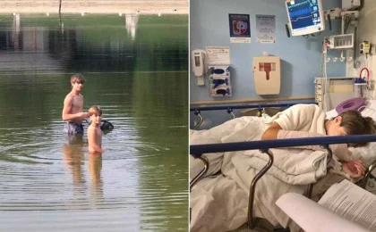 A Terrifying Encounter: How a Rabid Beaver Attack in Maryland Exposed a Rare Wildlife Threat and Sparked a Public Health Emergency