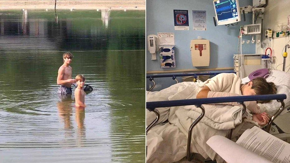 A Terrifying Encounter: How a Rabid Beaver Attack in Maryland Exposed a Rare Wildlife Threat and Sparked a Public Health Emergency