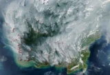 Beneath the Surface: Indonesia’s 2026 Fire Crisis and the Looming Threat of Peatland Combustion