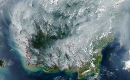 Beneath the Surface: Indonesia’s 2026 Fire Crisis and the Looming Threat of Peatland Combustion