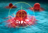 Beyond Resistance: Researchers Uncover Dual-Action Strategy to Combat Lethal Prostate Cancer Transformation