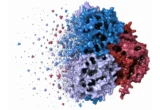 Beyond the Catalyst: How a Hidden Protein Function Rewrites the Rules of Leukemia Treatment