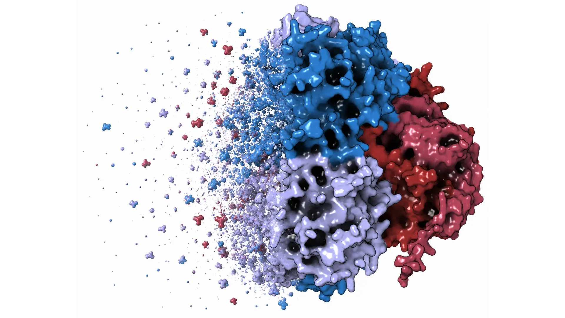Beyond the Catalyst: How a Hidden Protein Function Rewrites the Rules of Leukemia Treatment