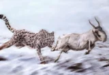 Beyond the Cheetah Myth: Unmasking the True Identity of North America’s Ice Age Predator