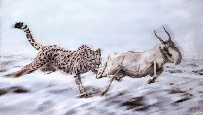 Beyond the Cheetah Myth: Unmasking the True Identity of North America’s Ice Age Predator