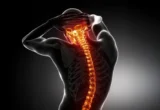 Beyond the Cleanup Crew: How Neutrophils Orchestrate Spinal Cord Regeneration