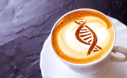 Beyond the Morning Jolt: How Caffeine May Unlock the Secrets of Cellular Longevity